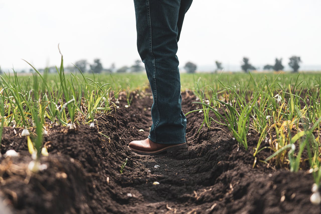 Dos campos aos escritórios: a importância do conhecimento em estratégias jurídicas no agronegócio
